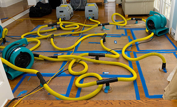 Professional Sewage Cleanup technician working in Leicester, MA